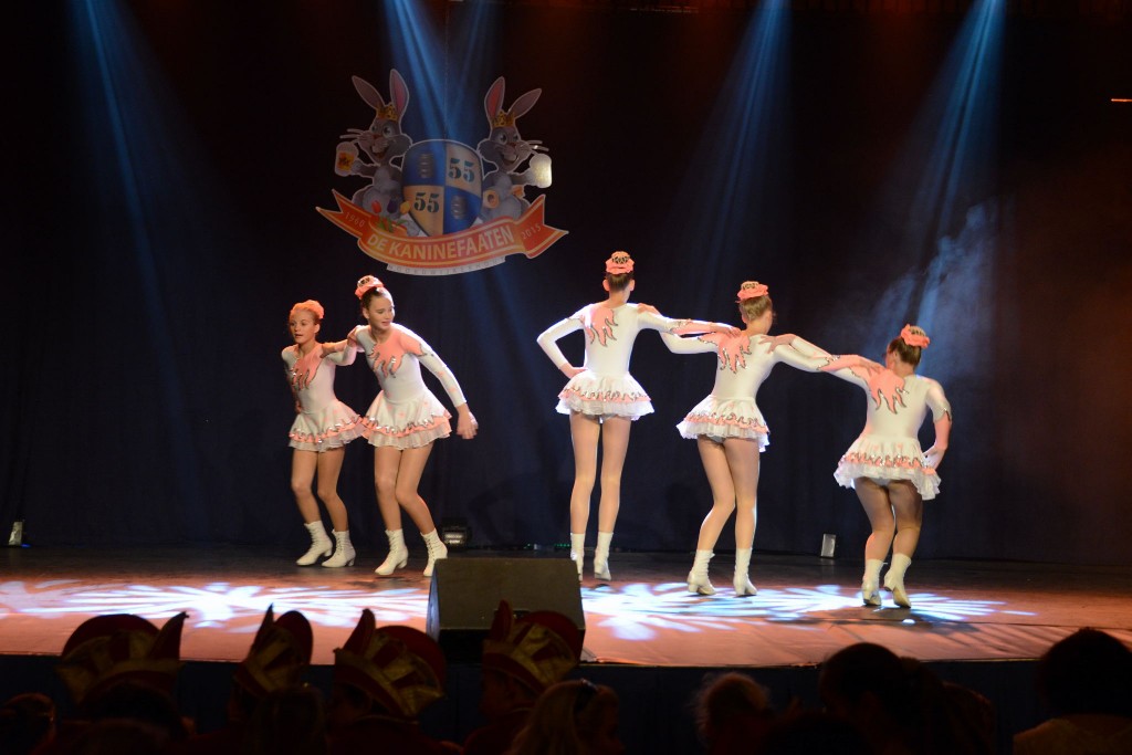 ../Images/Dansmarieke festival 2015 081.jpg